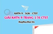 Giải KHTN 9 trang 170 Chân trời sáng tạo SGK